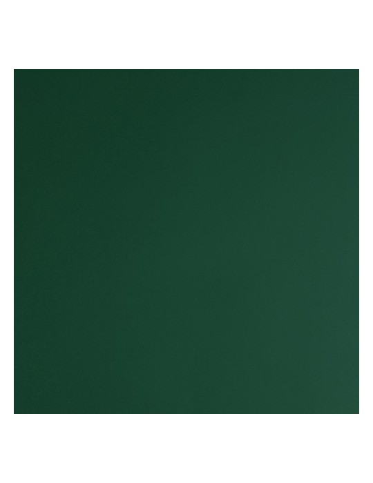E3336B - Vert Mélèze Brillant